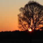 IMG_2675
