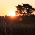 IMG_2705